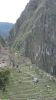 PICTURES/Machu Picchu - 3 Windows, SInking Wall, Gate and Industry/t_IMG_7493.JPG